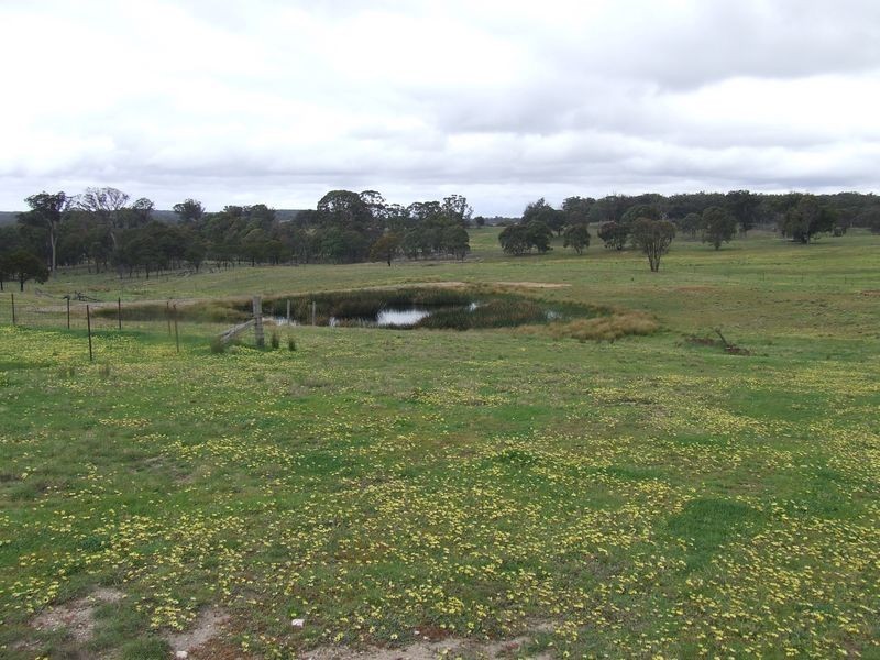 221 Bullamalita Avenue, Bannaby NSW 2580
