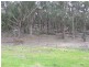 221 Bullamalita Avenue, Bannaby NSW 2580