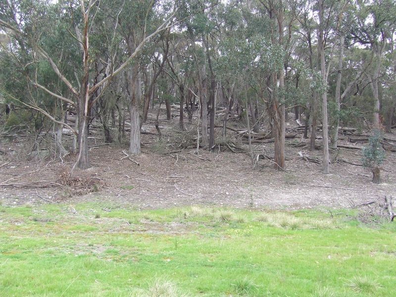 221 Bullamalita Avenue, Bannaby NSW 2580