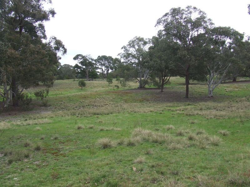 221 Bullamalita Avenue, Bannaby NSW 2580