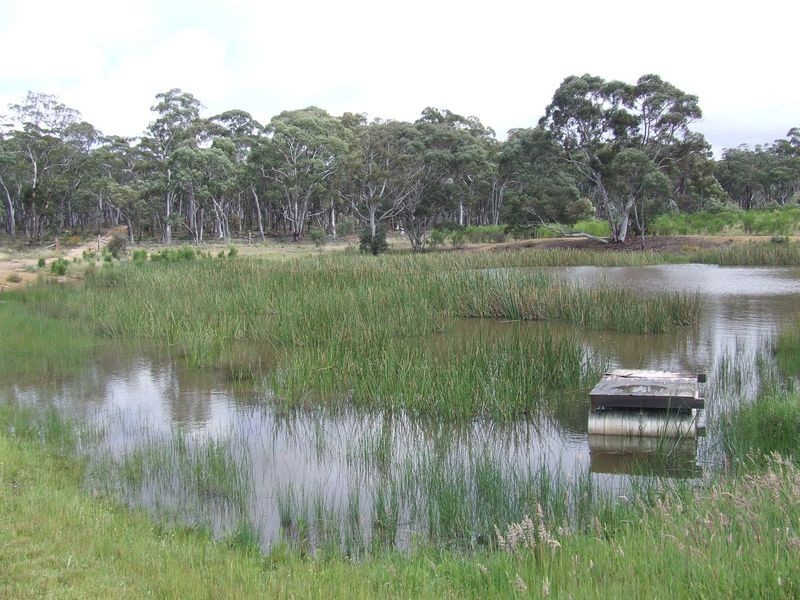 226 Winfarthing Road, Marulan NSW 2579