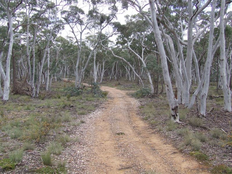 226 Winfarthing Road, Marulan NSW 2579
