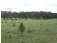 226 Winfarthing Road, Marulan NSW 2579