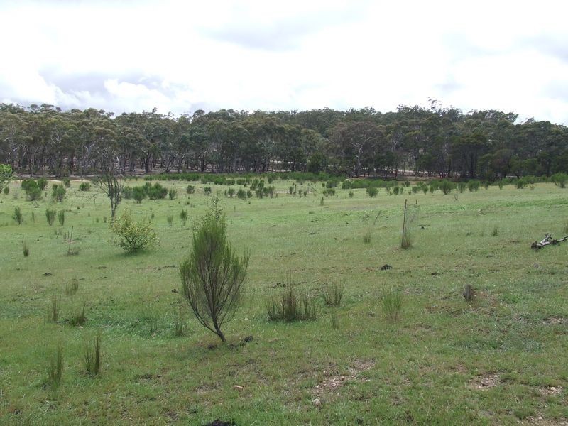 226 Winfarthing Road, Marulan NSW 2579