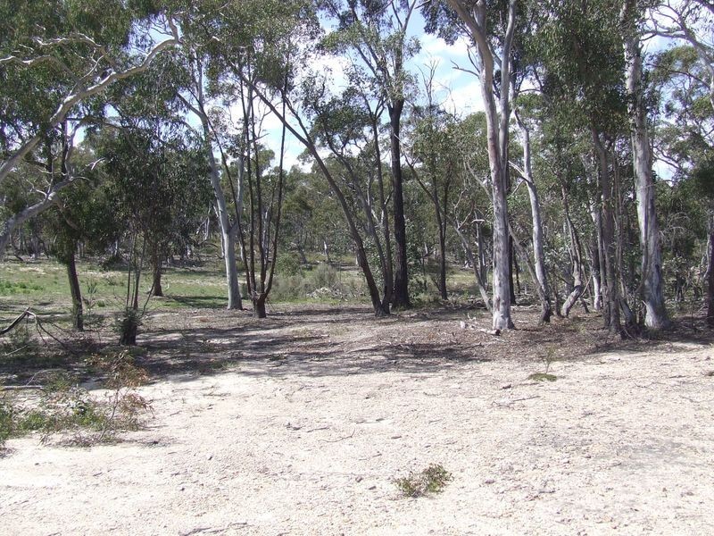 126 Jerralong Road, Windellama NSW 2580