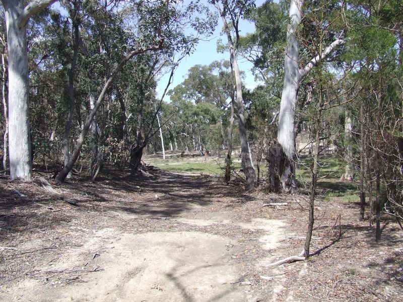 126 Jerralong Road, Windellama NSW 2580