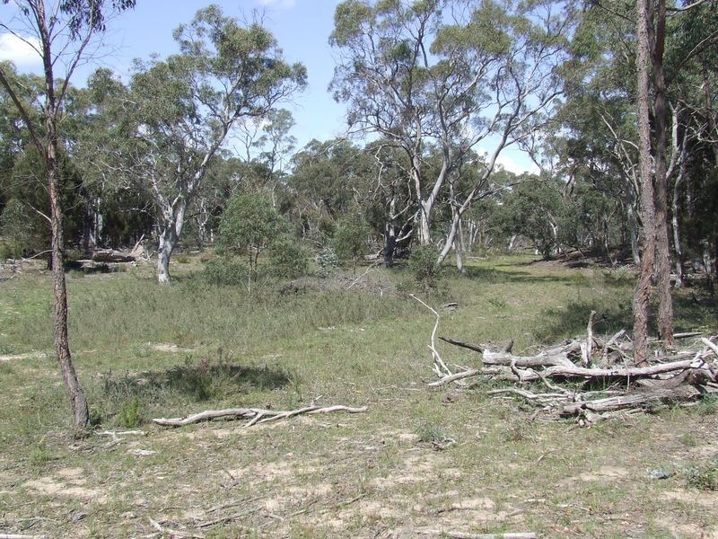 126 Jerralong Road, Windellama NSW 2580