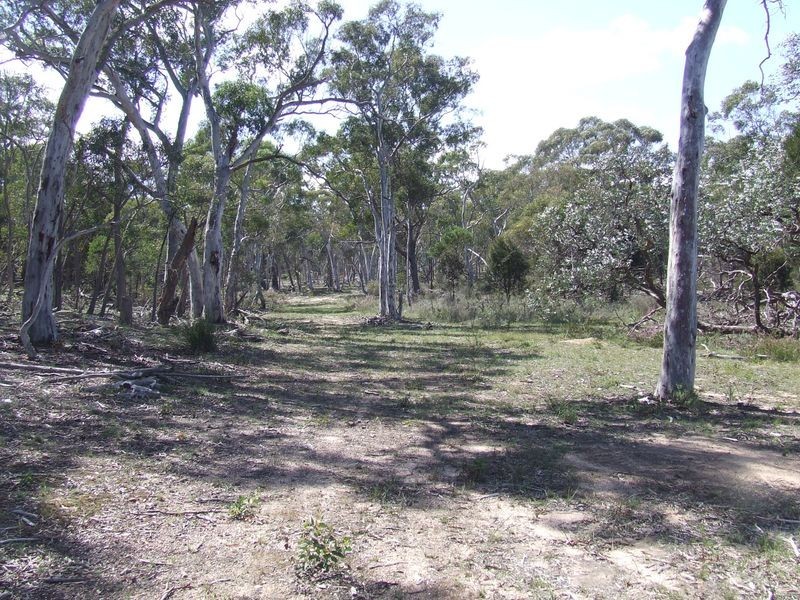 126 Jerralong Road, Windellama NSW 2580