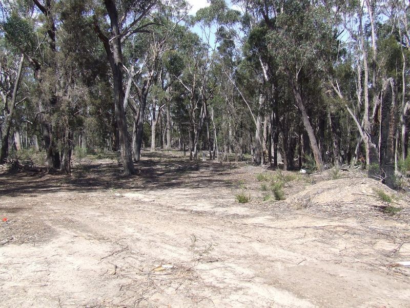 126 Jerralong Road, Windellama NSW 2580