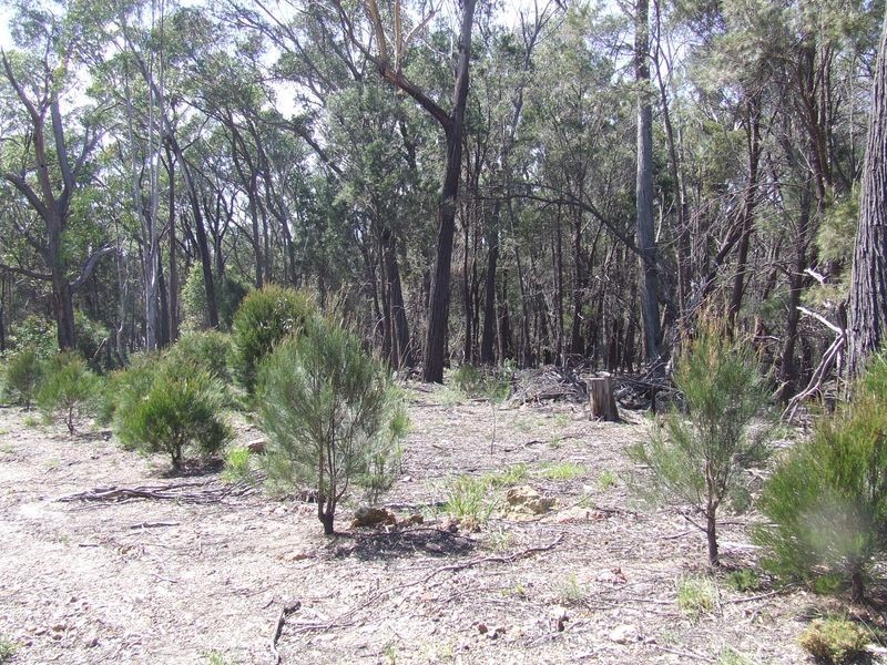 126 Jerralong Road, Windellama NSW 2580