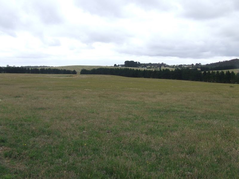 3100 Oallen Ford Road, Windellama NSW 2580
