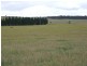 3100 Oallen Ford Road, Windellama NSW 2580
