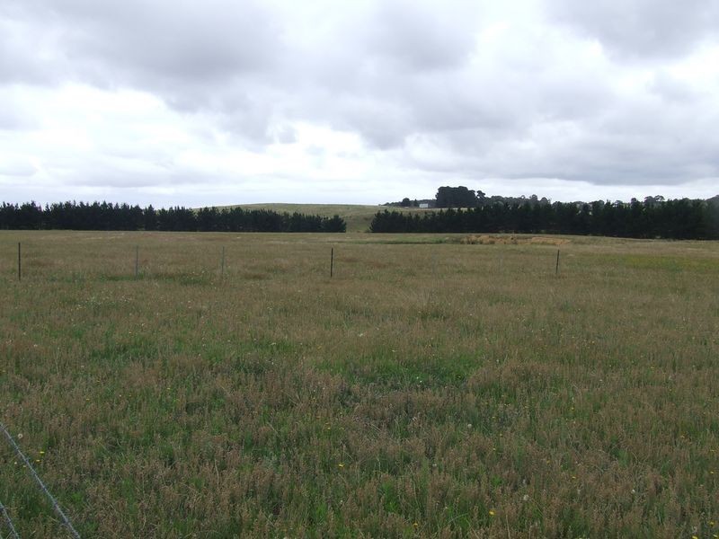 3100 Oallen Ford Road, Windellama NSW 2580
