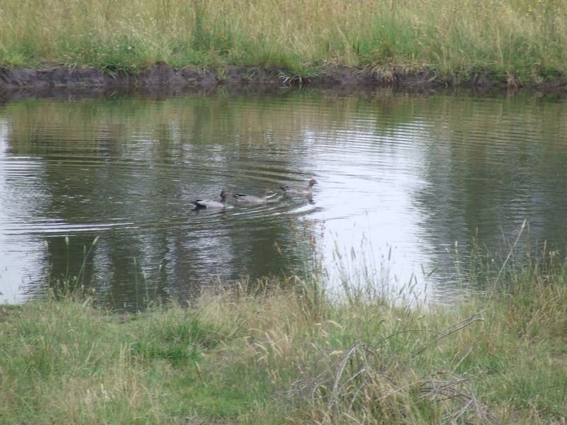 3120 Oallen Ford Road, Windellama NSW 2580