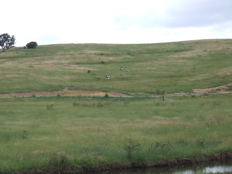 3120 Oallen Ford Road, Windellama NSW 2580