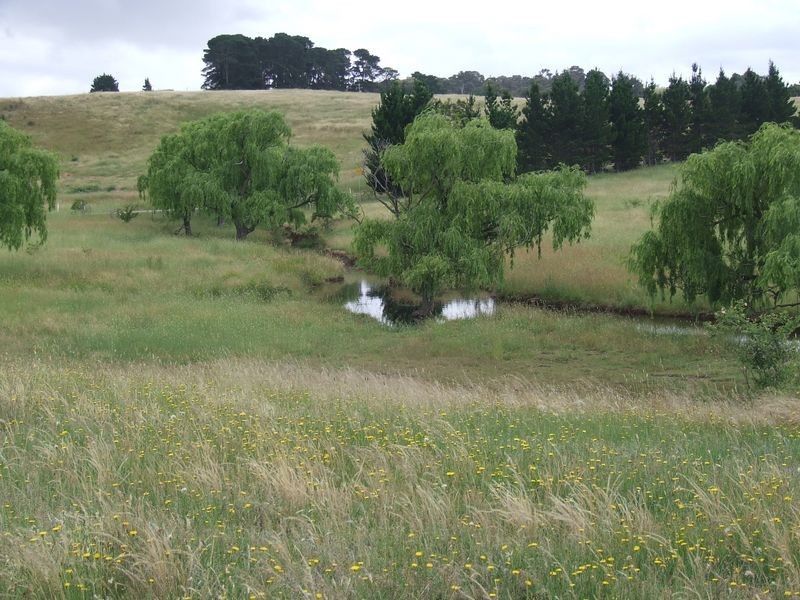 3120 Oallen Ford Road, Windellama NSW 2580