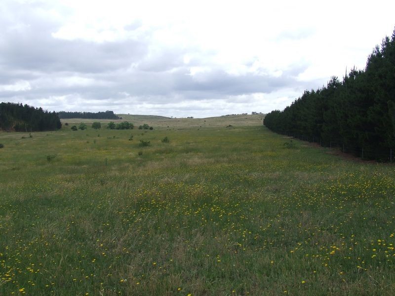 3120 Oallen Ford Road, Windellama NSW 2580