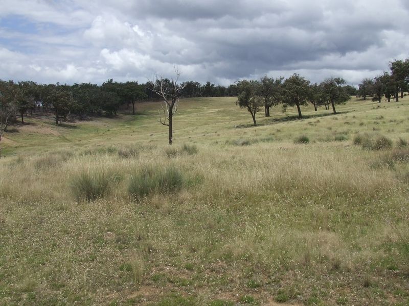 Lot 243 Glencot Road, Goulburn NSW 2580