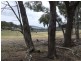 Lot 243 Glencot Road, Goulburn NSW 2580