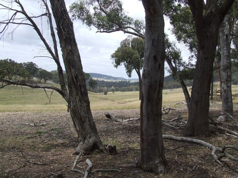 Lot 243 Glencot Road, Goulburn NSW 2580