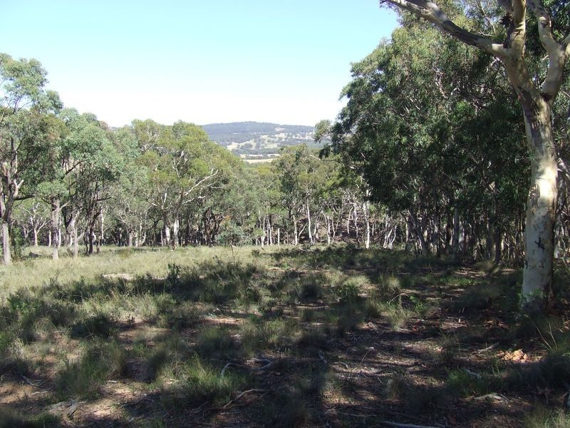 325 Mullins Creek Road, Breadalbane NSW 2581