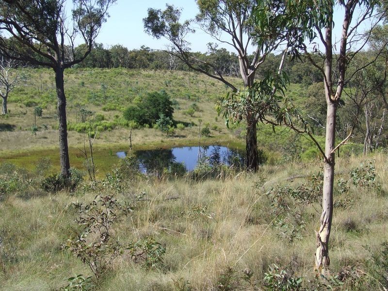 325 Mullins Creek Road, Breadalbane NSW 2581