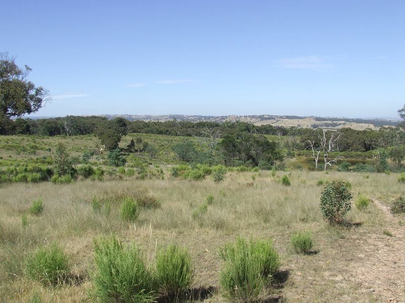 325 Mullins Creek Road, Breadalbane NSW 2581