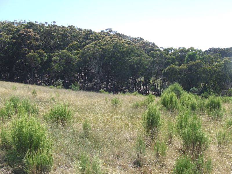 325 Mullins Creek Road, Breadalbane NSW 2581