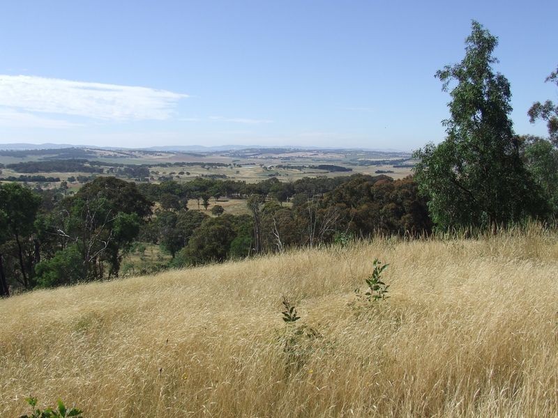 325 Mullins Creek Road, Breadalbane NSW 2581