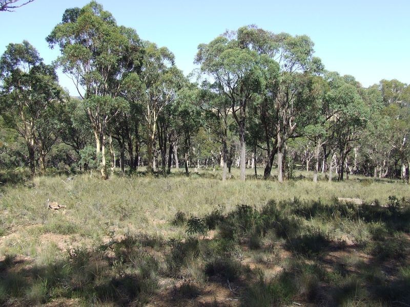 325 Mullins Creek Road, Breadalbane NSW 2581