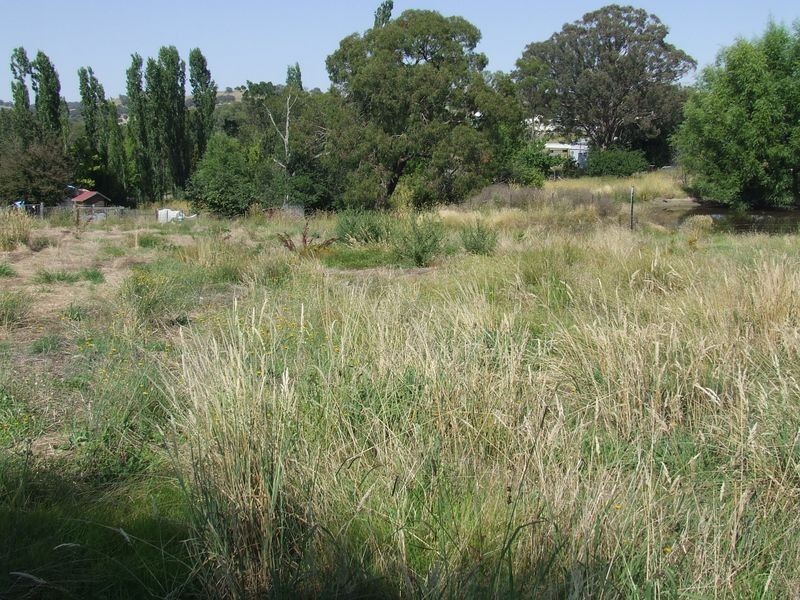 Lots 13 & Bigga Street, Bigga NSW 2583