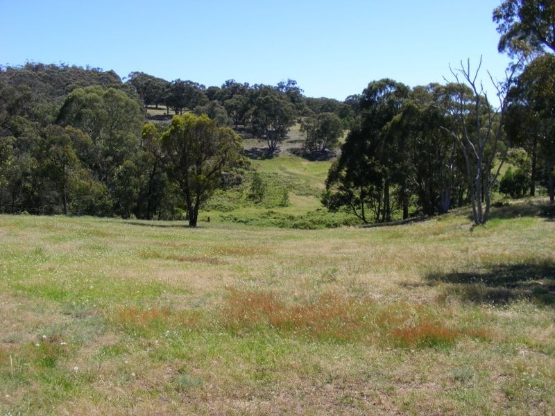 221 Bullamalita Avenue, Bannaby NSW 2580