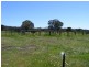 221 Bullamalita Avenue, Bannaby NSW 2580