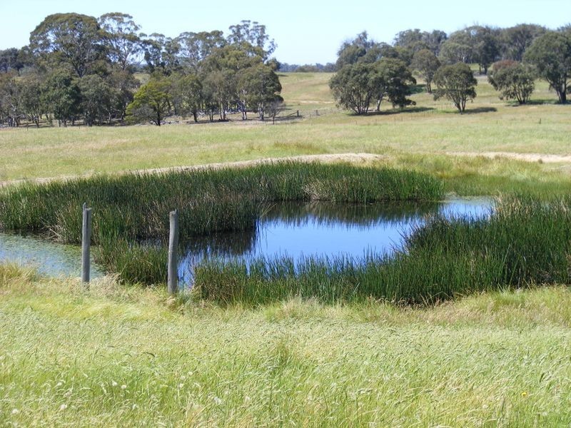221 Bullamalita Avenue, Bannaby NSW 2580