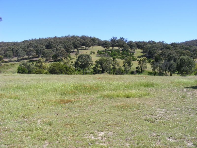 221 Bullamalita Avenue, Bannaby NSW 2580