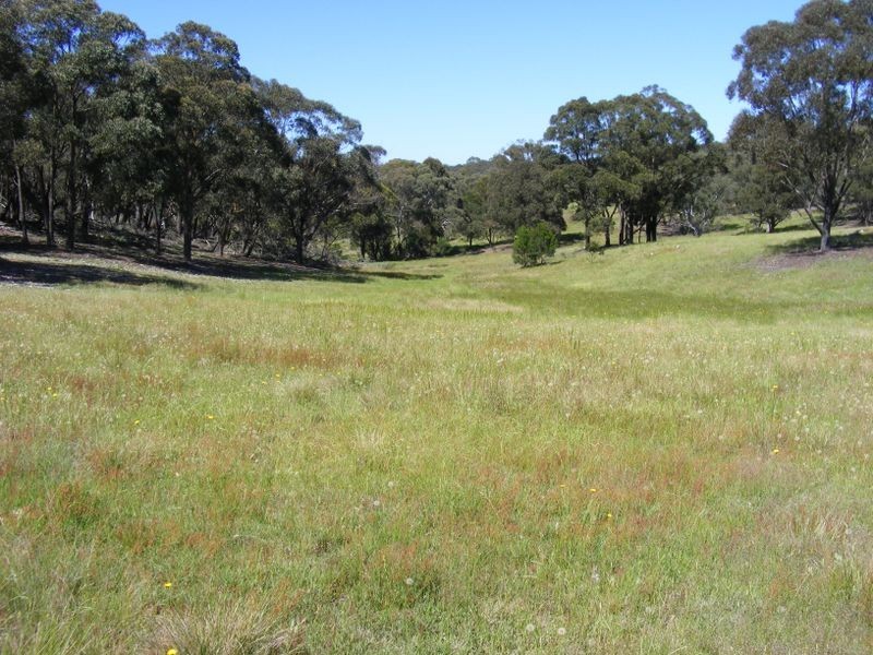 221 Bullamalita Avenue, Bannaby NSW 2580