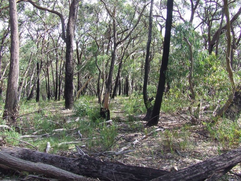 966 Mares Forest Road, Wombeyan Caves NSW 2580