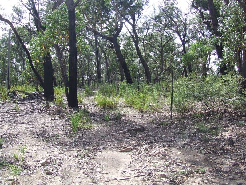 966 Mares Forest Road, Wombeyan Caves NSW 2580