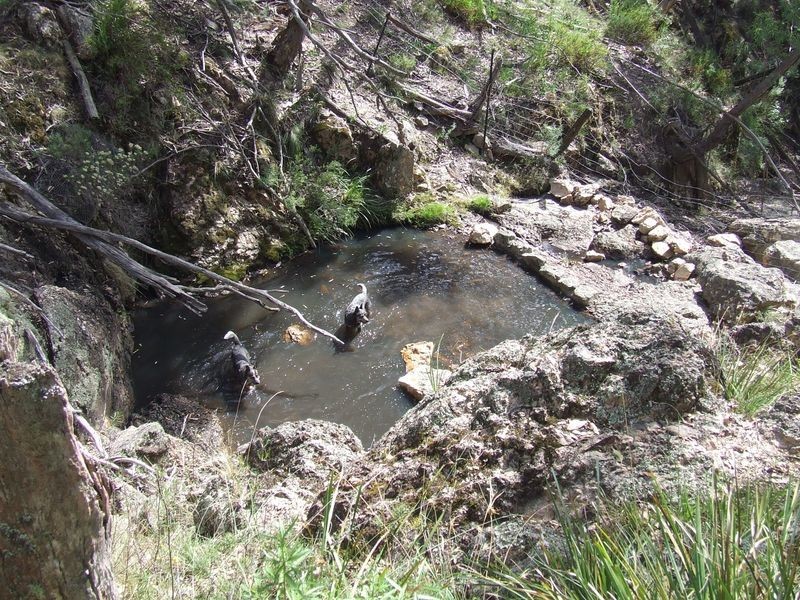 966 Mares Forest Road, Wombeyan Caves NSW 2580