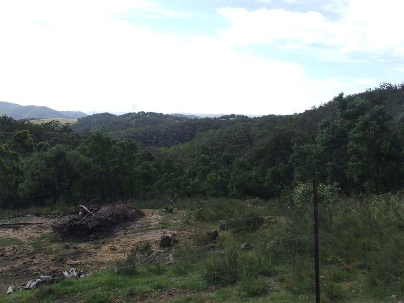 966 Mares Forest Road, Wombeyan Caves NSW 2580