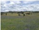 271 Koala Lane, Boorowa NSW 2586