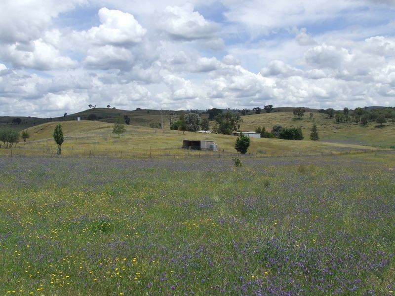 271 Koala Lane, Boorowa NSW 2586