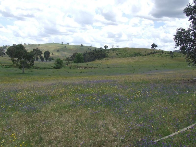 271 Koala Lane, Boorowa NSW 2586