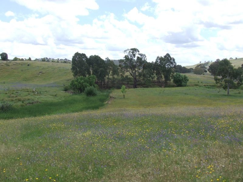 271 Koala Lane, Boorowa NSW 2586