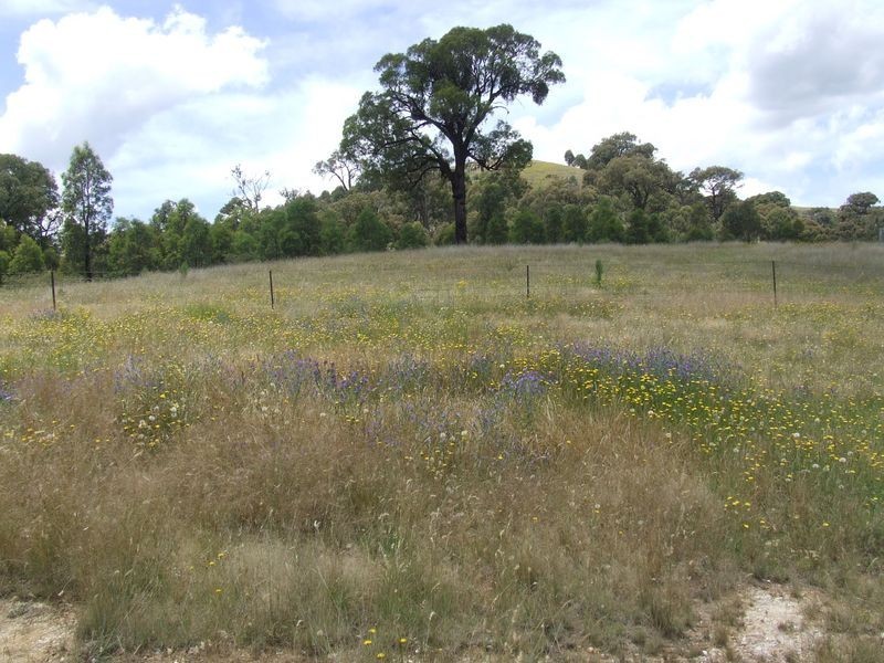 271 Koala Lane, Boorowa NSW 2586