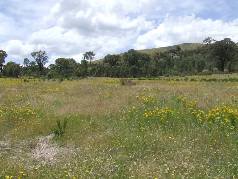 271 Koala Lane, Boorowa NSW 2586