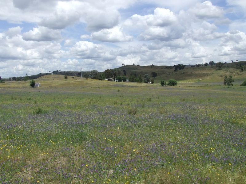 271 Koala Lane, Boorowa NSW 2586