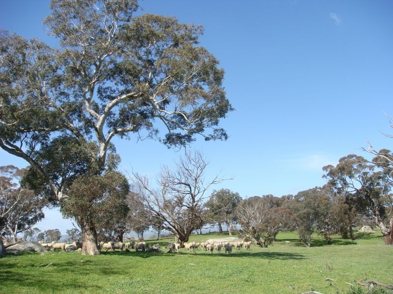 Pinch Hill Hume Highway, Gunning NSW 2581