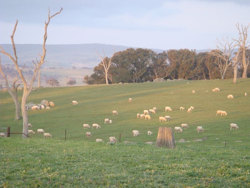 Pinch Hill Hume Highway, Gunning NSW 2581