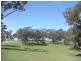 Pinch Hill Hume Highway, Gunning NSW 2581